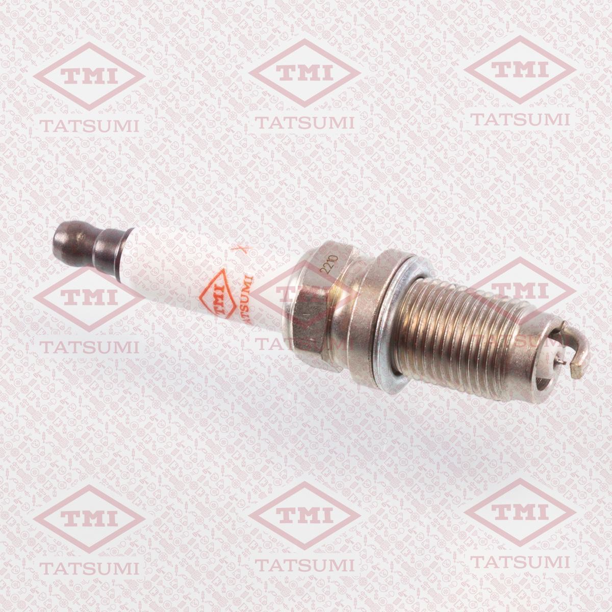 Свеча зажигания TATSUMI NGK: 5758